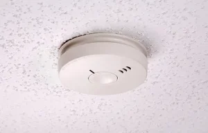 image décorative